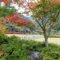 2012年津川ダムの紅葉が見ごろを迎えます。