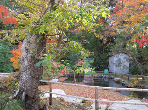 本山寺25.jpg