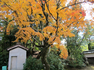 本山寺27.jpg