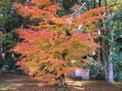 本山寺34.jpg