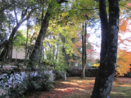 本山寺39.jpg