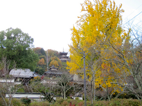 長法寺1.jpg