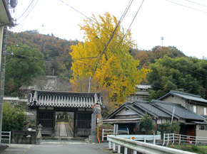 長法寺16.jpg