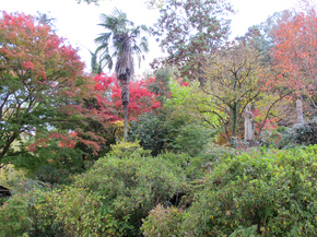 長法寺6.jpg