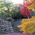 2012年11月14日の鶴山公園のモミジです。
