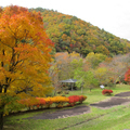 2012年　黒木ダムの紅葉です。