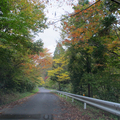 2012年阿波の源流の碑近くの紅葉