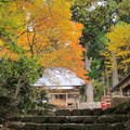 法然上人が修行した  高貴山　菩提寺