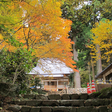 法然上人が修行した  高貴山　菩提寺