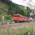 2012年11月10日スローライフ列車の旅（美作河井駅）
