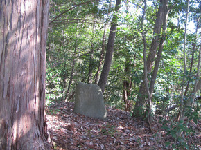 二宮神社.jpg