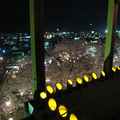 鶴山公園の夜景が素晴らしい！2013年4月3日(水)