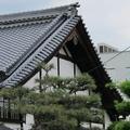 本源寺　庫裏（津山市小田中）