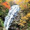 布滝の紅葉 (津山市阿波)