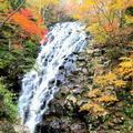 布滝の紅葉 （津山市阿波）