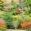 2013年 津川ダム周辺の紅葉