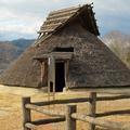 2014年1月　沼の弥生住居跡群