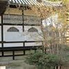 ロウバイの花(泰安寺)西寺町