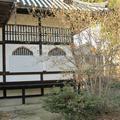 ロウバイの花（泰安寺）西寺町