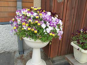 2014.5.inaba15.jpg