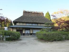 koshiwata15.jpg