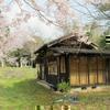 千年寺とさくらの花(津山市下田邑)