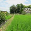 流田（ながれだ）組の荒神様（津山市野介代）