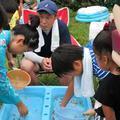 中土居部落の納涼祭（津山市田熊）