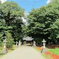 陽地神社（津山市野村）