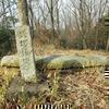 正仙塚古墳(高野山西)