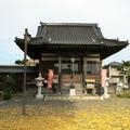 真福寺（勝間田）の大銀杏