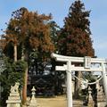 高良神社　（押入）