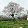 小田中田中の荒神様