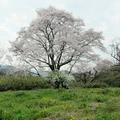 小田中田中の荒神様