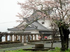 sakura2015_32.jpg