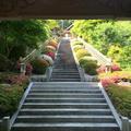 幻住寺のさつき（久米郡美咲町北）