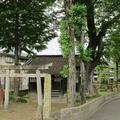 若宮神社（茅町）