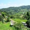 2015年8月8日の上山の棚田