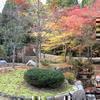 22世紀の森(加茂)