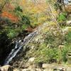 2015年 布滝の紅葉