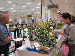 押し花・ラン展37.jpg