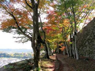 鶴山紅葉26.jpg