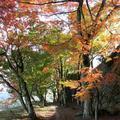 津山城（鶴山公園）の紅葉