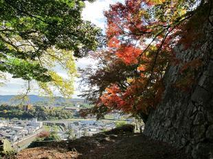 鶴山紅葉29.jpg