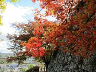 鶴山紅葉30.jpg