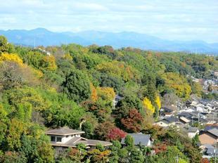 鶴山紅葉34.jpg