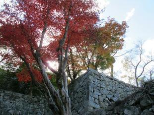 鶴山紅葉7.jpg