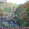 2015年 黒木ダム湖周辺の紅葉