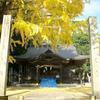軒戸神社の大イチョウ(加茂)
