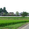 金光山　多聞寺（下横野）